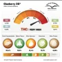 Насіння конопель Glueberry O.G.® від Dutch Passion